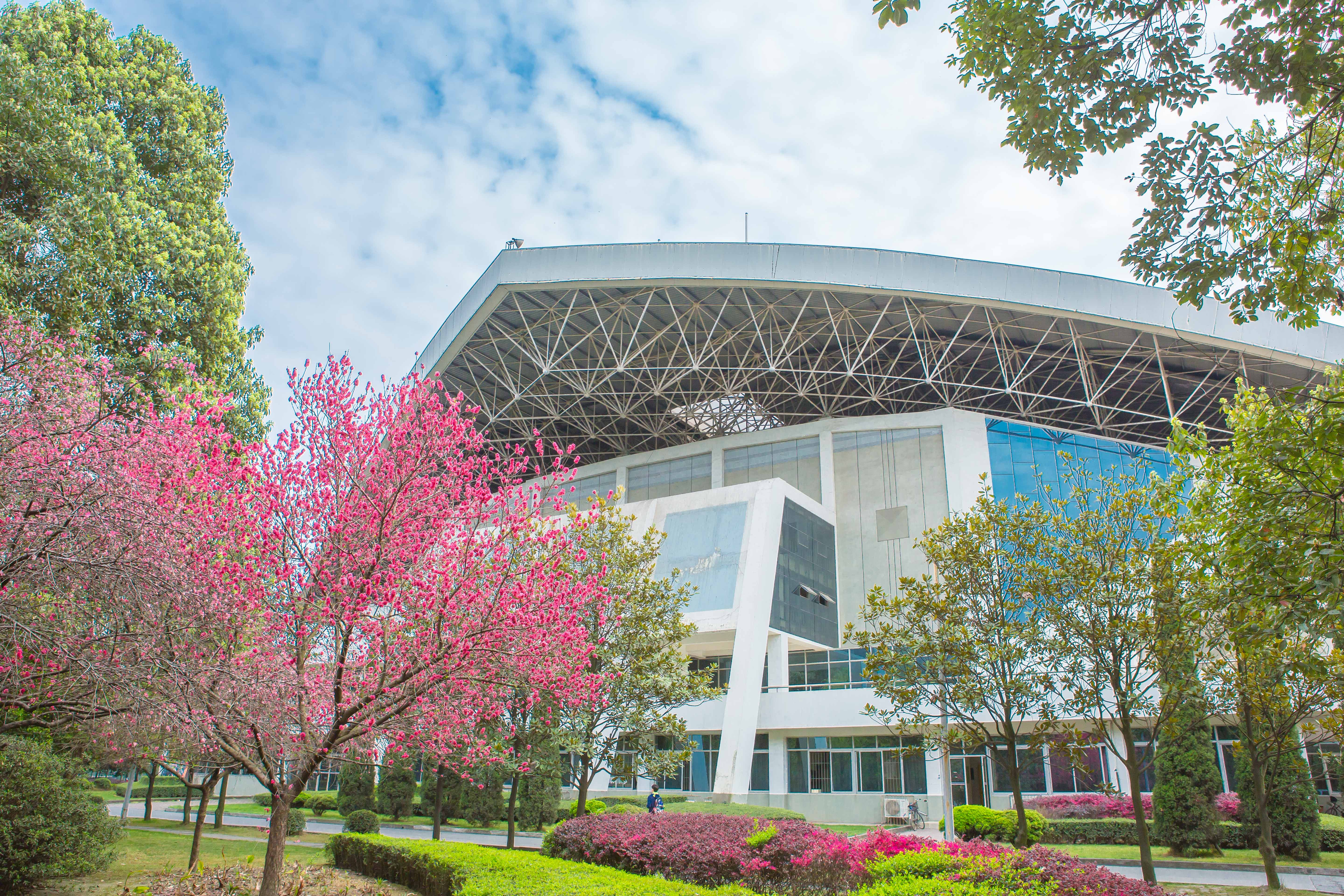 【奋进“十五五”】春潮涌动千帆竞 奋楫争先正当时——各学院全力开启2026年工作新征程